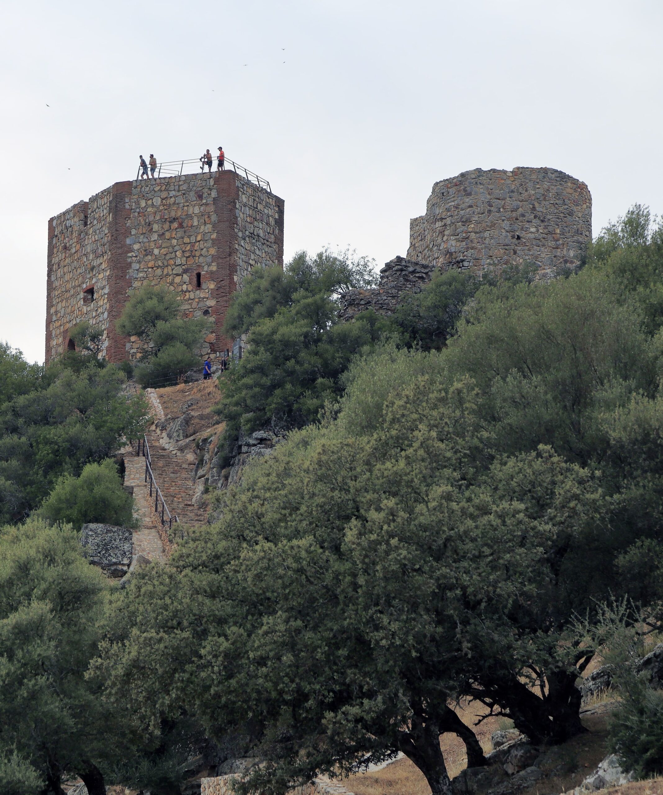 Castillo_Monfrague_3 Torres del Castillo de Monfragüe rodeadas de vegetación mediterránea.