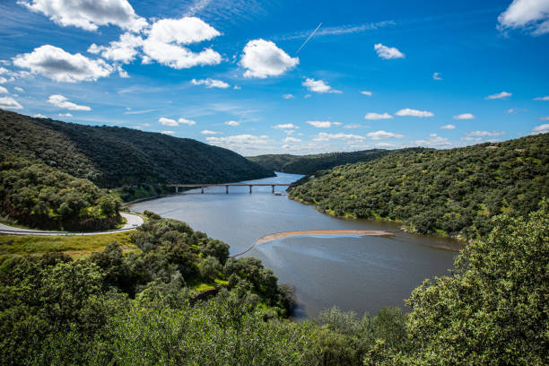Fluss und Brücke, umgeben von mediterranem Wald in Monfragüe.