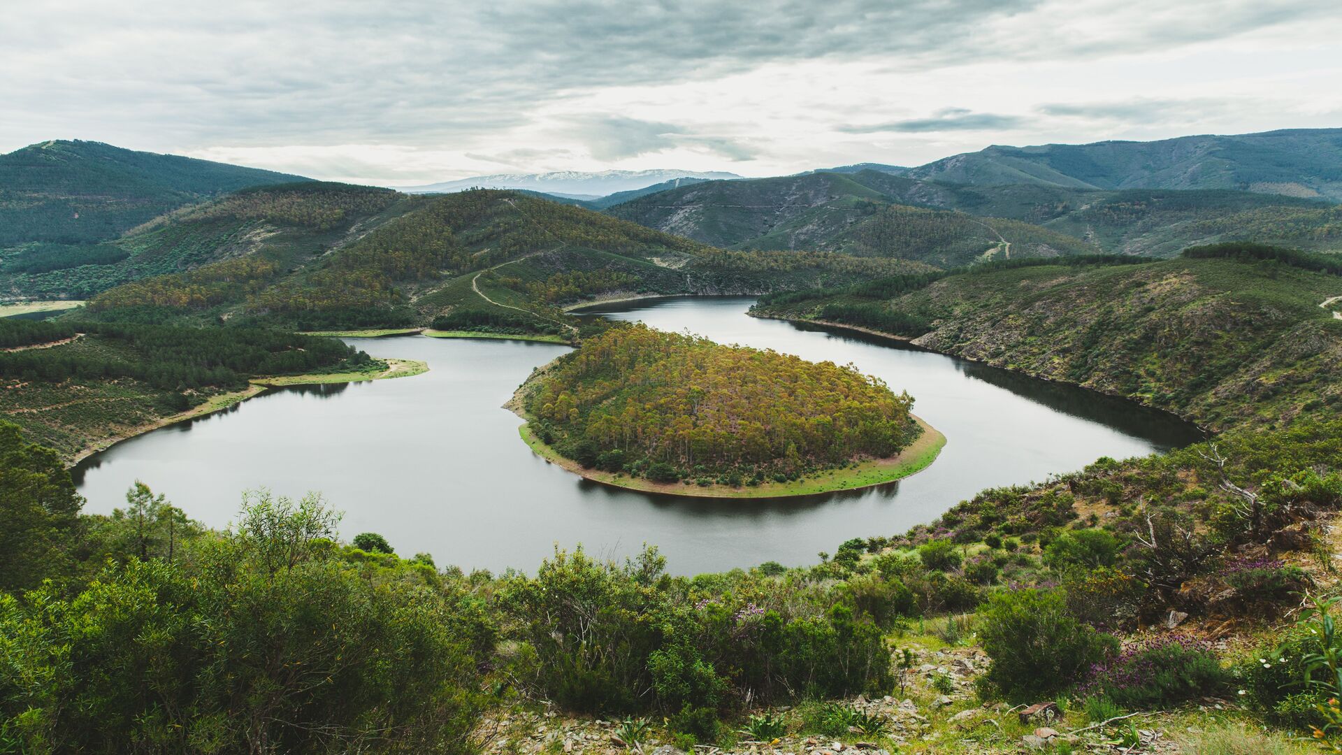 Meandro rodeado de montañas y vegetación en el entorno de Monfragüe.