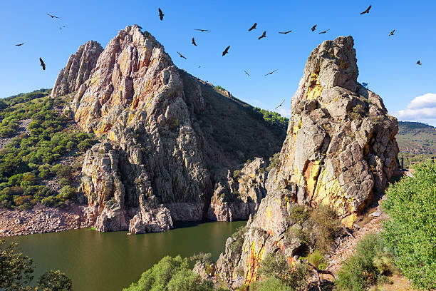 Formaciones rocosas y aves sobre el río en el Parque Nacional de Monfragüe.