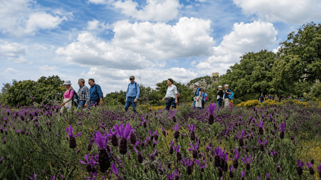 Wandergruppe zwischen violetten Blumen in der Naturlandschaft von Monfragüe, mit Bäumen und der Burg im Hintergrund.