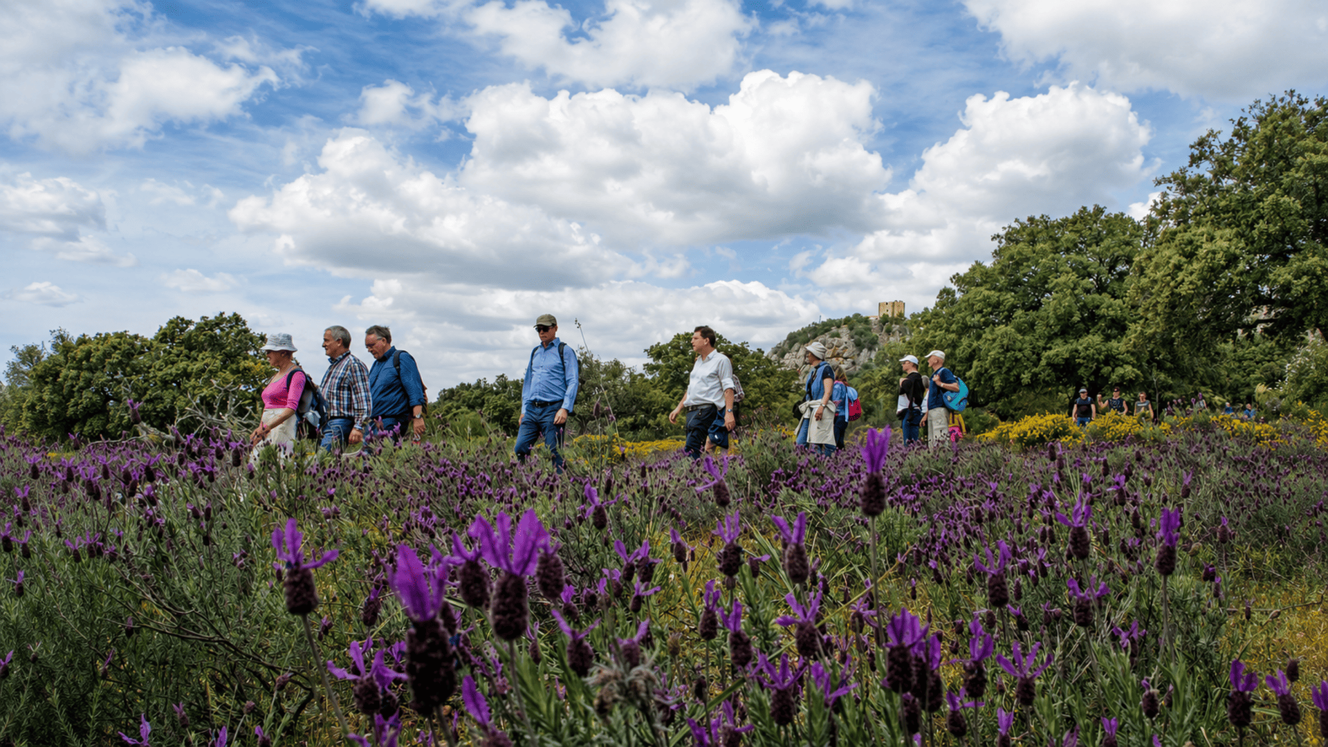 Wandergruppe zwischen violetten Blumen in der Naturlandschaft von Monfragüe, mit Bäumen und der Burg im Hintergrund.