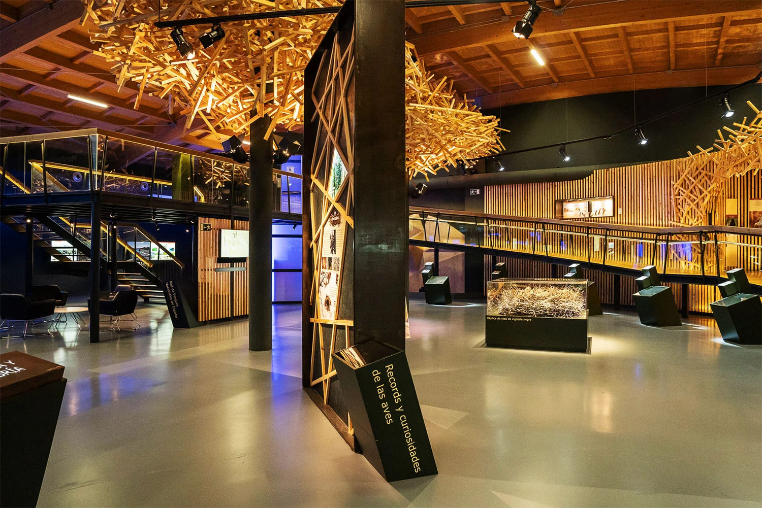 centro_de_visitantes_norte_1 Interior del Centro de Visitantes Norte de Monfragüe con exposiciones sobre aves y naturaleza.